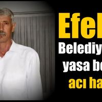 Efeler