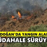 Bozdoğan
