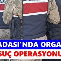 Aydın