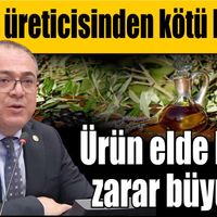 Aydın