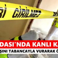 Aydın