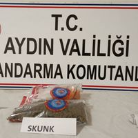 Koçarlı