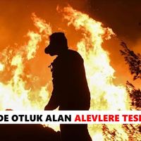 Nazilli
