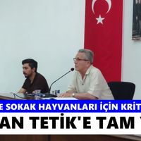 Nazilli