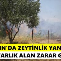 Nazilli