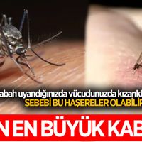 SAĞLIK