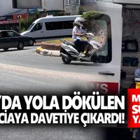 Aydın