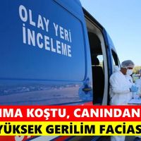 Asayiş