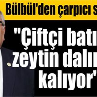Aydın