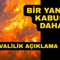 Güncel