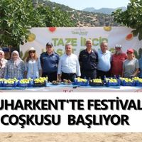 Buharkent