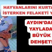 Çine