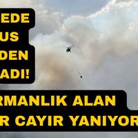 Güncel