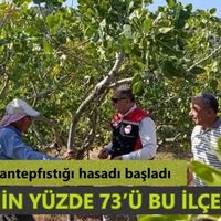 Yenipazar