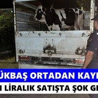 Aydın