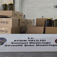 Aydın