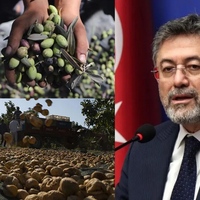 Aydın