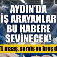 Aydın