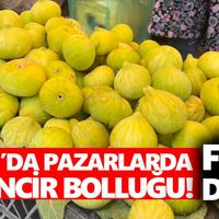 Aydın