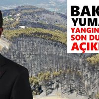 Aydın