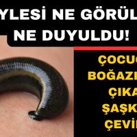 Asayiş