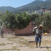 Bozdoğan
