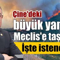 Çine