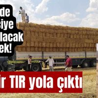 Çine