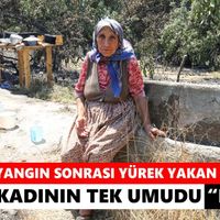 Aydın