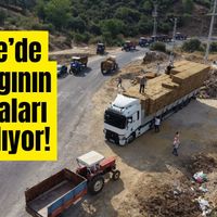 Çine