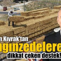 Çine