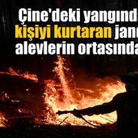 Aydın