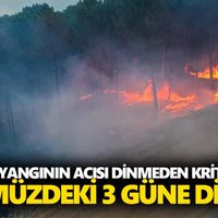 Aydın