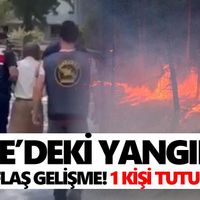 Çine