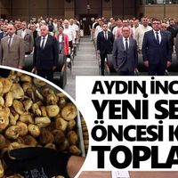 Aydın