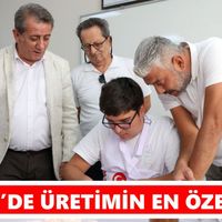 Efeler