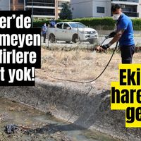 Efeler