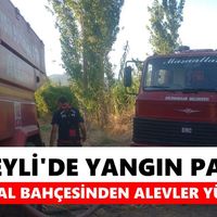 Nazilli