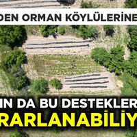 Aydın