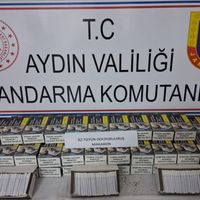 Aydın