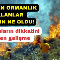 Gündem