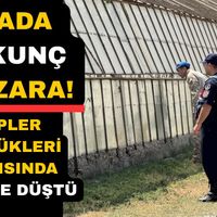 Asayiş