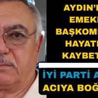 Aydın