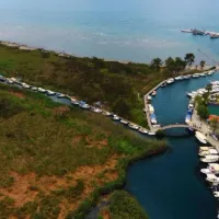 Yaşam