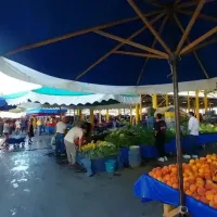 Yaşam