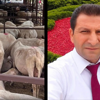 Aydın