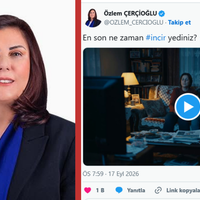 Aydın