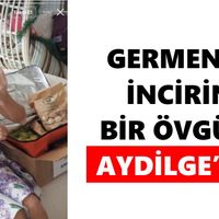 Germencik