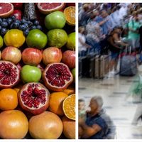 Ekonomi