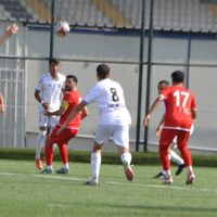 Spor
